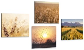 Set di quadri – Incanto della natura