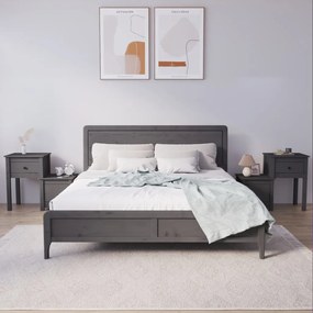 Comodini 2 Pz Grigi 79,5x38x65,5 Cm İn Legno Massello Di Pino /