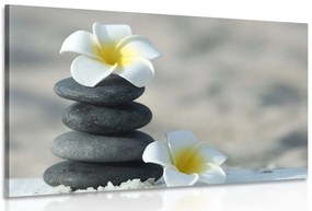 Quadro su tela – Pietre armoniche e fiore di plumeria