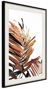 Poster  Copper Palm  Cornice Quadri Cornice nera con pass-partout, Larghezza x Altezza Home decor 20x30