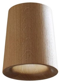 Terence Woodgate - Solid Downlight Cono Quercia Naturale