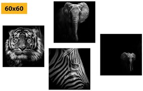 Set di quadri – Animali in stile bianco e nero