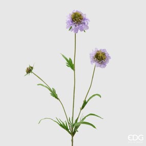 EDG - Enzo De Gasperi scabiosa rex ramo h 65 colore lavanda