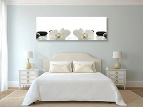 Quadro su tela – Fiori bianchi di orchidea