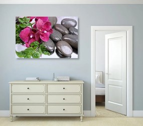 Quadro su tela – Orchidea fiorita e pietre per il benessere