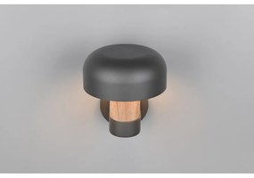 Illuminazione esterna da parete (altezza totale 24,5 cm) Fraser – Trio