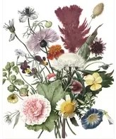 KEK Amsterdam Carta da parati panoramica Wild Flowers 1 - XS