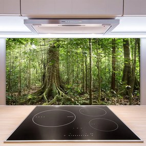 Pannello paraschizzi cucina Natura della foresta Alberi della giungla 100x50 cm