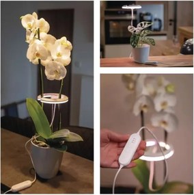 Lampada LED dimmerabile da interno per la coltivazione di piante GROW LED/8W/5V