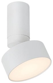 Rabalux 71326 - Plafoniera LED OVIDIA LED/10W/230V 3000K bianca