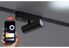 Rabalux 70125 - LED Faretto dimmerabile per sistema a binario monofase LiTrack LED/5W/24V