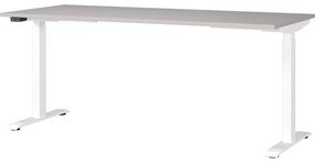 Tavolo da lavoro regolabile elettricamente in altezza 80x180 cm Jet - Germania