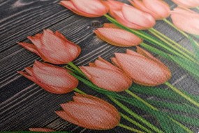 Stampa su tela – Incantevoli tulipani arancioni su sfondo di legno