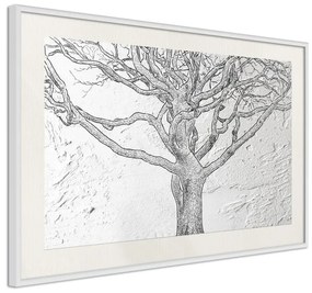 Poster  Tangled Branches  Cornice Quadri Cornice nera con pass-partout, Larghezza x Altezza Home decor 30x20