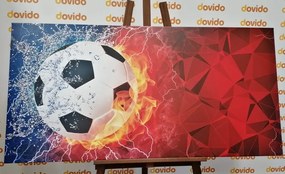 Stampa su tela – Pallone da calcio