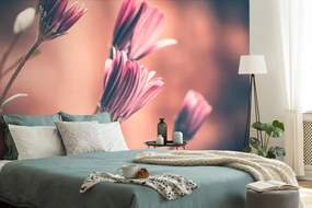 Carta da parati autoadesiva – Delicati fiori rosa