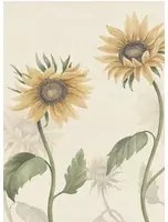 Sandberg Carta da parati panoramica Sunflowers - Yellow