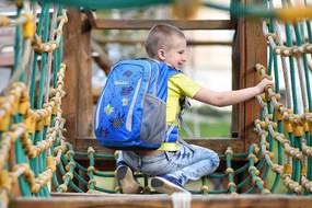 Zaino scuola BOLL SCHOOL MATE 20 l Crabs - dutchblue