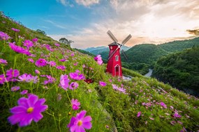 Carta da parati – Prato presso il mulino magico