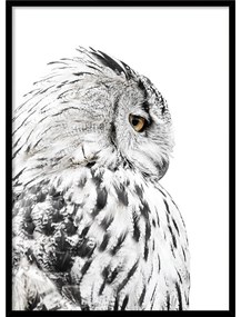 Dipinto 50x70 cm Owl – Styler