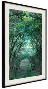 Poster  Tree Tunnel  Cornice Quadri Cornice nera con pass-partout, Larghezza x Altezza Home decor 20x30