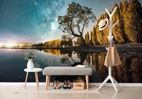 Fotomurale – Albero sotto il cielo stellato