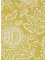 Sanderson Carta da parati Cantaloupe - Caraway