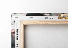 Quadro su tela – Magnolia che si risveglia