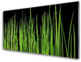 Quadro in vetro acrilico L'erba La pianta 100x50 cm