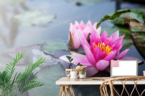 Carta da parati – Fiore di loto rosa