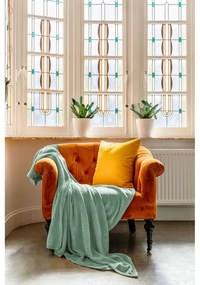 Coperta in micropush verde, 220 x 240 cm - Tiseco Home Studio