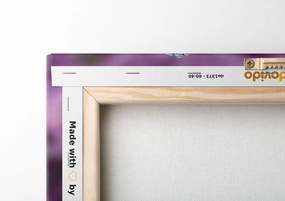 Quadro su tela – Buddha sereno