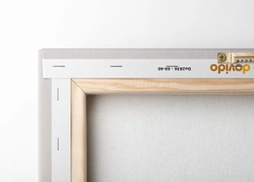Stampa su tela – Petali bianchi