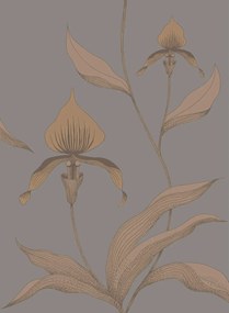 Cole & Son Carta da parati Orchid - Bronze on Slate
