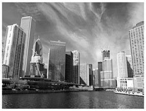 Fotomurale Panorama di Chicago (bianco e nero)