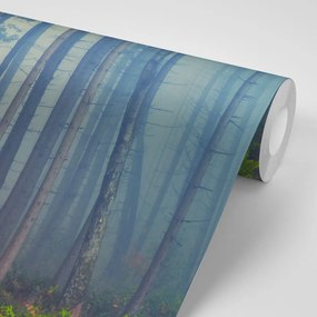 Carta da parati autoadesiva – Foresta misteriosa