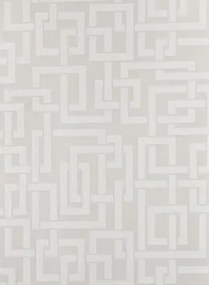 Tapete Enigma von Farrow & Ball - Purbeck Stone/ Ammonite