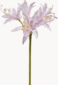 Set di 2 fiori artificiali Nerine