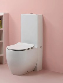 Cassetta wc Flo