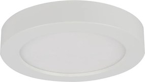 GLOBO 41605-18 - Plafoniera LED da soffitto per bagno PAULA LED/18W/230V IP44