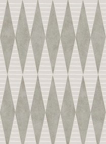 Coordonne Carta da parati Warrior - Plata