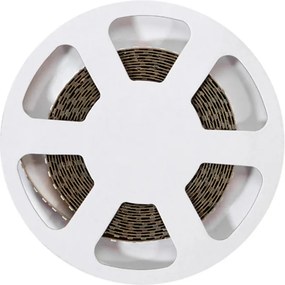 Striscia LED 24V 144W/m Rosa per Banco Carne Professionale - IP54 - 5 metri