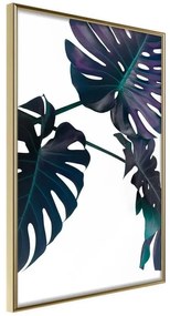 Poster  Evergreen Monstera  Cornice Quadri Cornice d'oro, Larghezza x Altezza Home decor 20x30