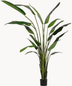 Pianta artificiale da esterno Strelitzia, alt. 310 cm