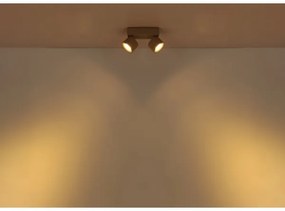 Globo 56961-2S - Faretto LED RAE 2xLED/6W/230V