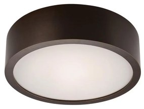Lampada da soffitto 1xE27/60W/230V