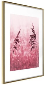 Poster  Amaranth Meadow  Cornice Quadri Cornice d'oro, Larghezza x Altezza Home decor 40x60