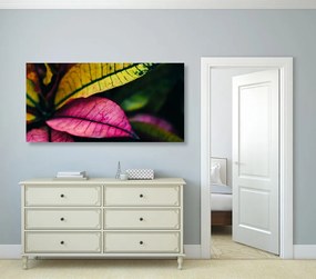 Quadro su tela – Foglie fresche