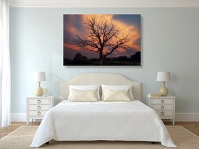 Stampa su tela – Splendido albero sul prato