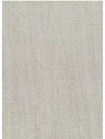 Arte Carta da parati Pristine - Warm Silver